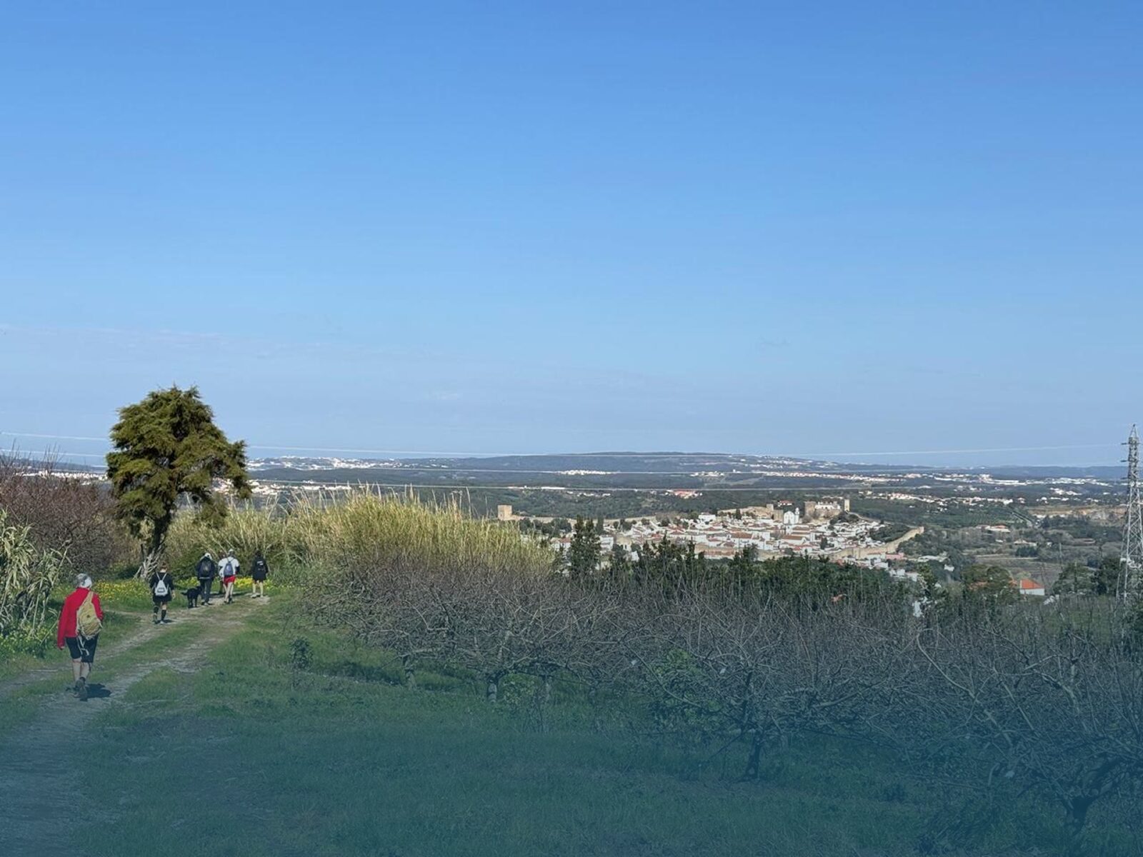 Group hiking the Óbidos Nature Trail with panoramic views over the village and countryside