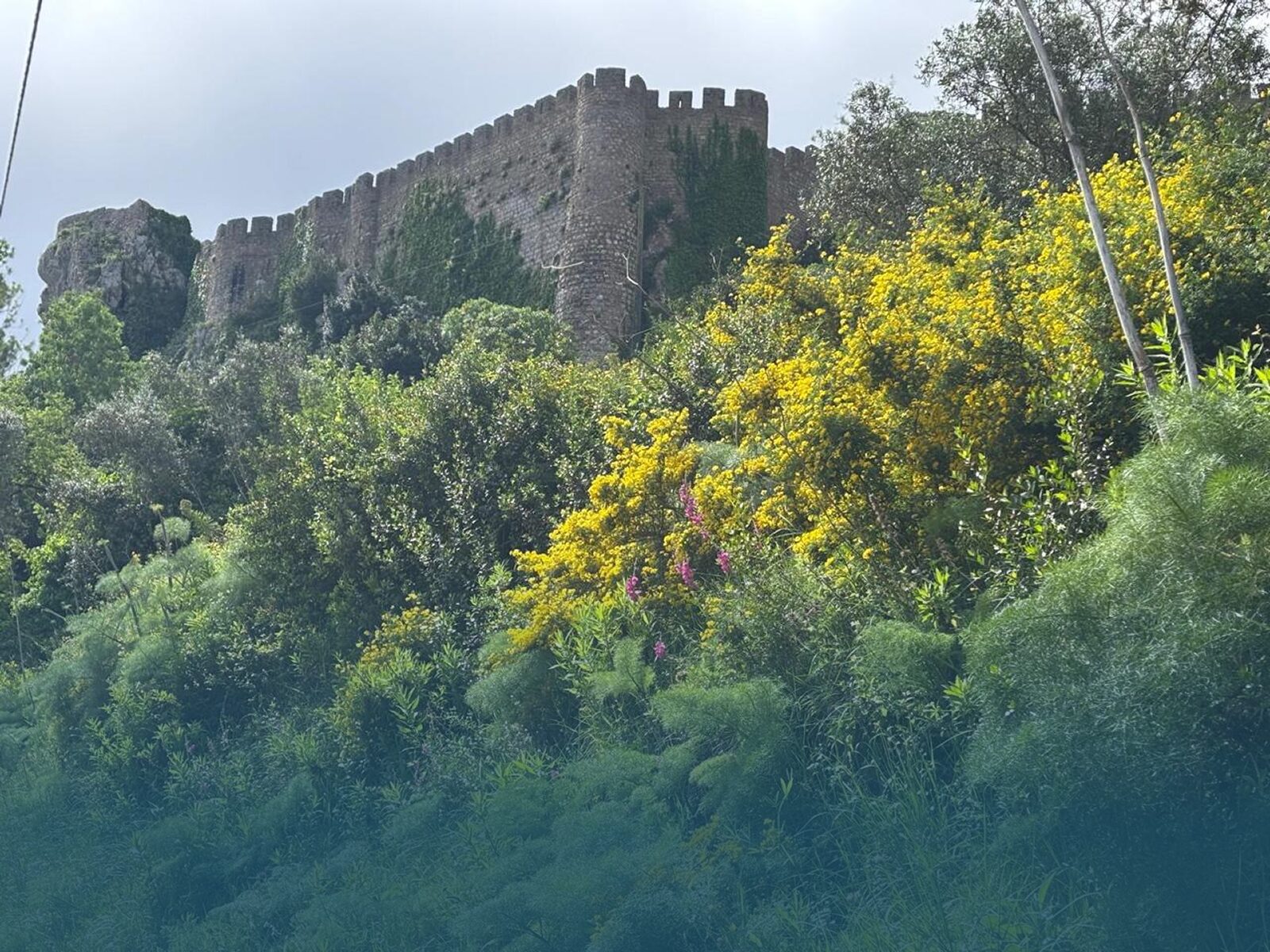 Hikers walking near the castle walls on the Óbidos Castle Serenity Trail.
