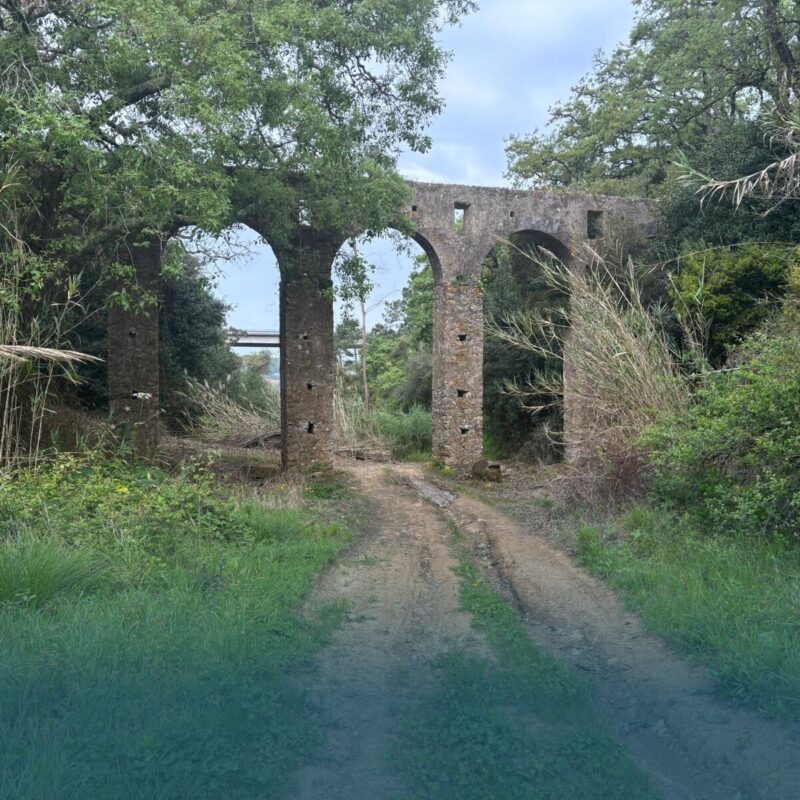 Hikers walking beside the Óbidos Aqueduct Trail surrounded by nature
