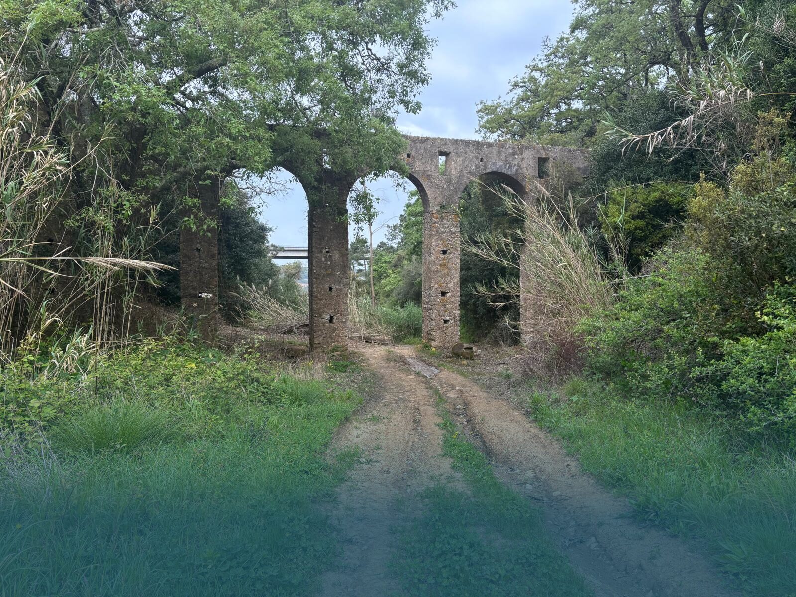 Hikers walking beside the Óbidos Aqueduct Trail surrounded by nature